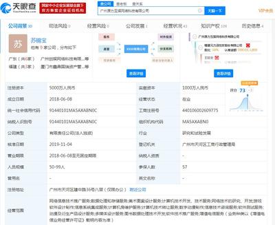 元力股份完成資產(chǎn)優(yōu)化調(diào)整 轉(zhuǎn)讓廣州原力100%股權(quán)，全面退出網(wǎng)游業(yè)務(wù)